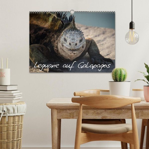 Produktbild: Leguane auf Galapagos (Wandkalender 2026 DIN A3 quer), CALVENDO Monatskalender