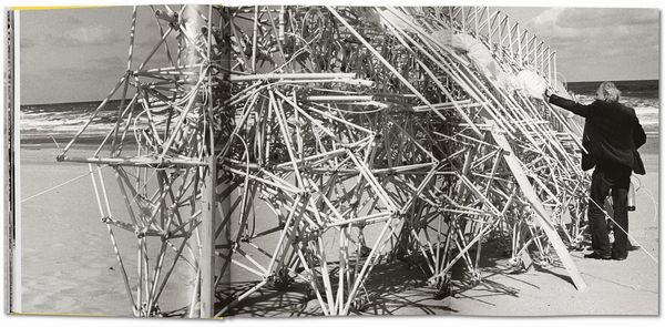 Produktbild: Strandbeest