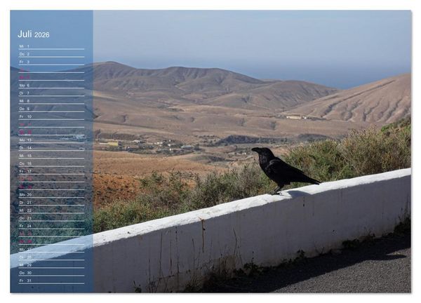 Produktbild: Fuerteventura in Ruhe (Wandkalender 2026 DIN A3 quer), CALVENDO Monatskalender