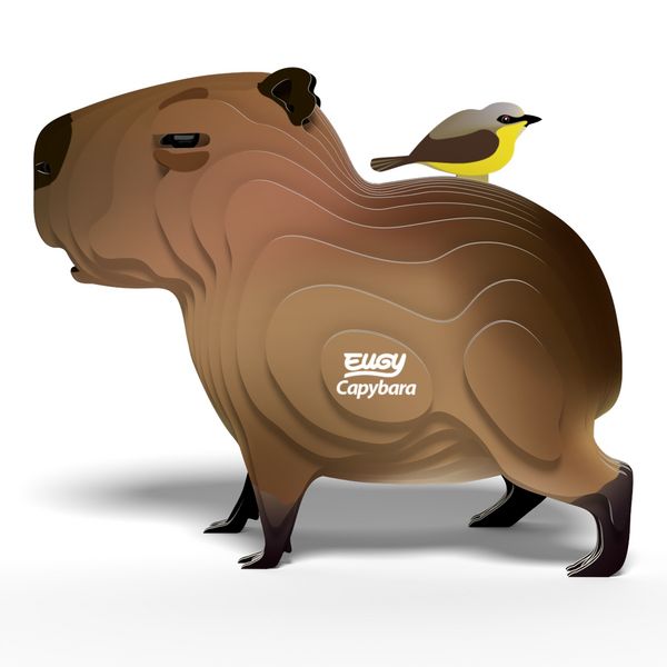 Produktbild: EUGY - 3D Bastelset Wasserschwein