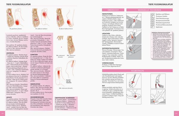 Produktbild: Referenzbuch Triggerpunkt Behandlung