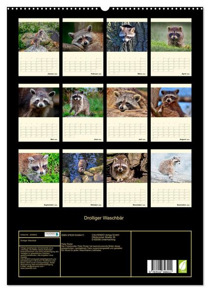 Produktbild: Drolliger Waschb&auml;r (hochwertiger Premium Wandkalender 2026 DIN A2 hoch), Kunstdruck in Hochglanz