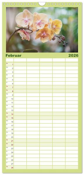 Produktbild: Familienplaner 2026 - Im Schatten der Orchidee mit 5 Spalten (Wandkalender, 21 x 45 cm) CALVENDO