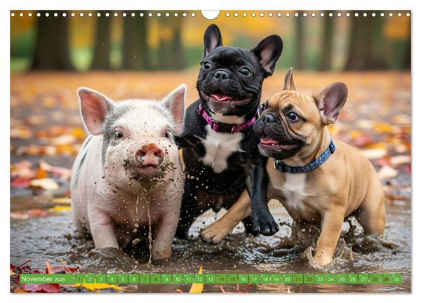 Produktbild: Muddi Buddies &ndash; Freundschaft im Matsch (Wandkalender 2026 DIN A3 quer), CALVENDO Monatskalender