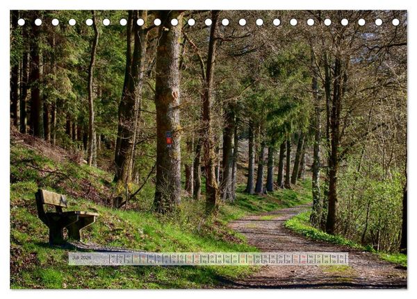 Produktbild: Wald im Bergischen Land 2026 (Tischkalender 2026 DIN A5 quer), CALVENDO Monatskalender