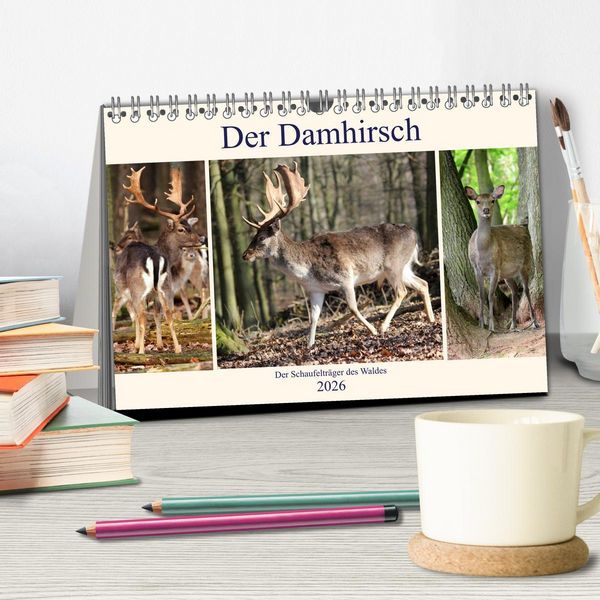 Produktbild: Der Damhirsch - Der Schaufeltr&auml;ger des Waldes (Tischkalender 2026 DIN A5 quer), CALVENDO Monatskalender