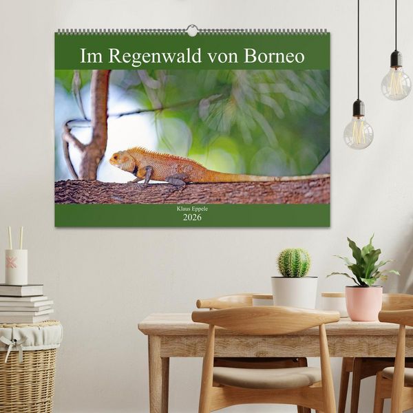 Produktbild: Im Regenwald von Borneo (Wandkalender 2026 DIN A2 quer), CALVENDO Monatskalender