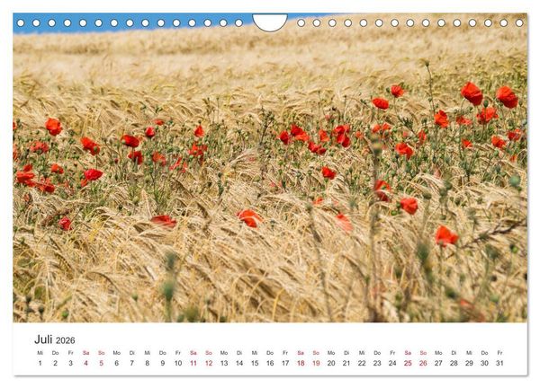 Produktbild: Die Opalk&uuml;ste - Das Land der zwei Kaps (Wandkalender 2026 DIN A4 quer), CALVENDO Monatskalender