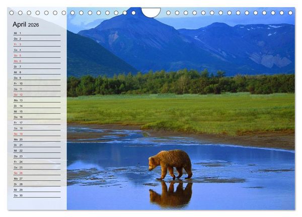 Produktbild: Alaska - Weites Land (Wandkalender 2026 DIN A4 quer), CALVENDO Monatskalender