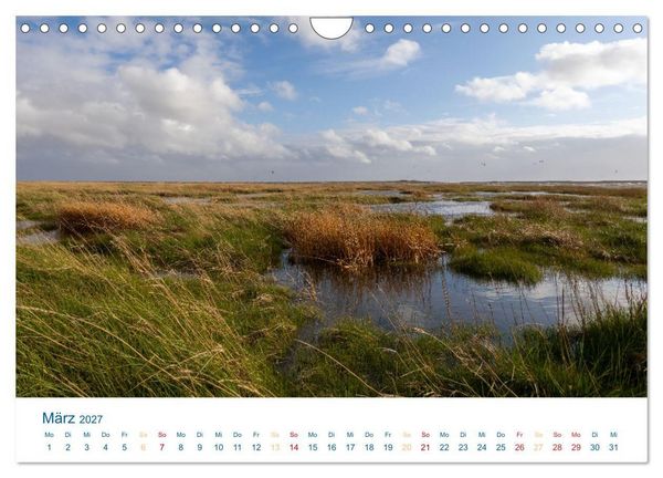 Produktbild: Sankt Peter-Ording - Str&auml;nde, D&uuml;nen, Weite (Wandkalender 2027 DIN A4 quer), CALVENDO Monatskalender