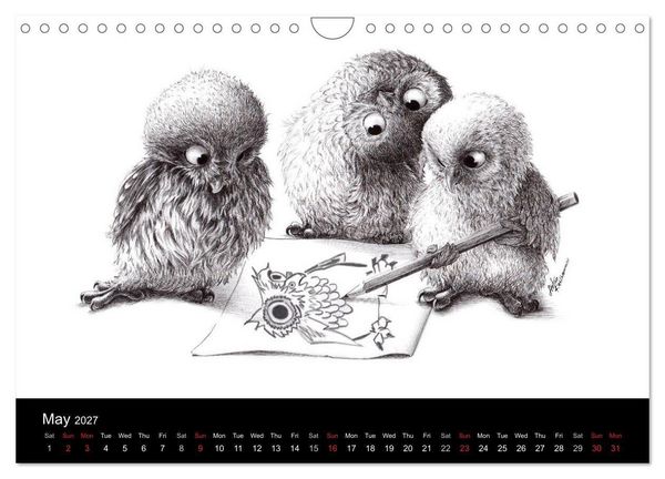 Produktbild: owls & friends 2027 (Wall Calendar 2027 DIN A4 landscape), CALVENDO 12 Month Wall Calendar