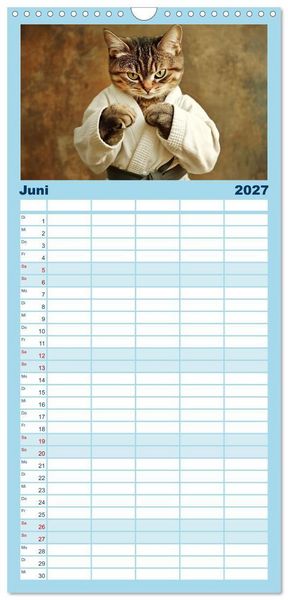 Produktbild: Familienplaner 2027 - Lustige Sportarten f&uuml;r Katzen mit 5 Spalten (Wandkalender, 21 x 45 cm) CALVENDO
