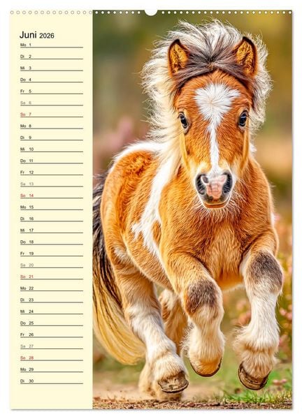 Produktbild: Zauber der Ponys. Kleine Pferde in der Natur (hochwertiger Premium Wandkalender 2026 DIN A2 hoch), Kunstdruck in Hochglanz