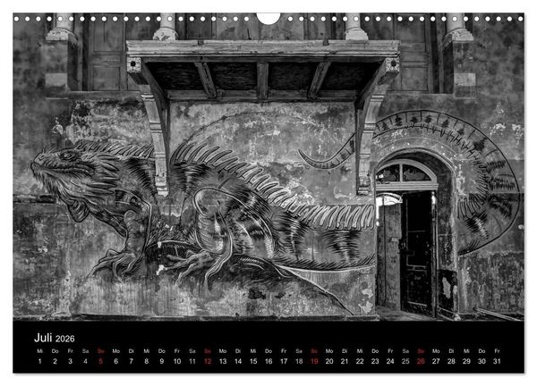 Produktbild: lost beauty (Wandkalender 2026 DIN A3 quer), CALVENDO Monatskalender