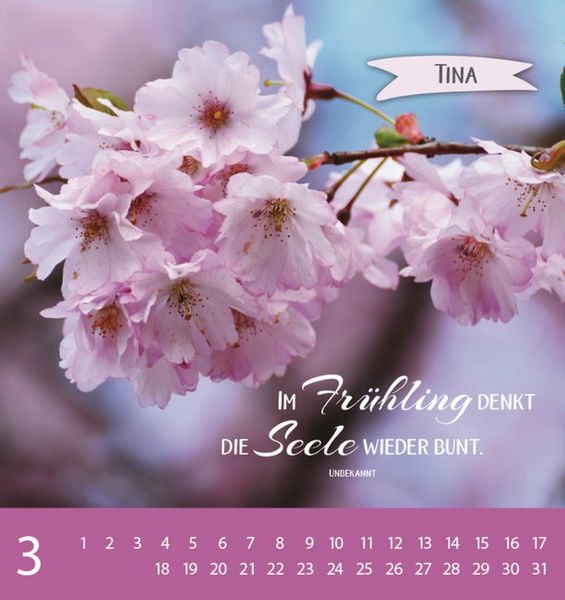 Produktbild: Namenskalender Tina