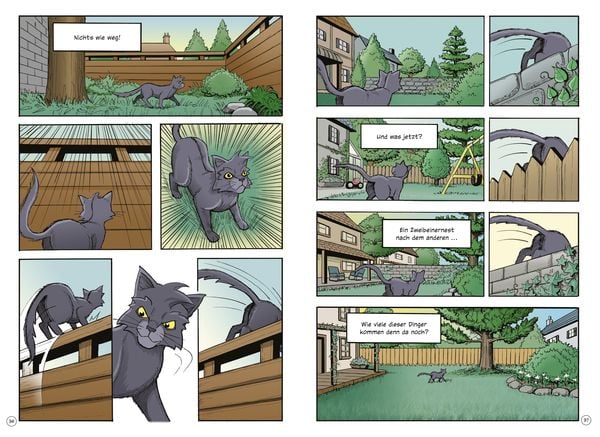 Produktbild: Warrior Cats - Graustreifs Weg zur&uuml;ck