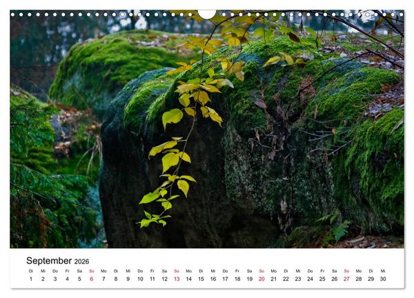 Produktbild: Granitwelten im Waldviertel (Wandkalender 2026 DIN A3 quer), CALVENDO Monatskalender