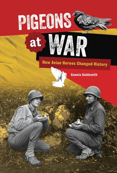 Produktbild: Pigeons at War