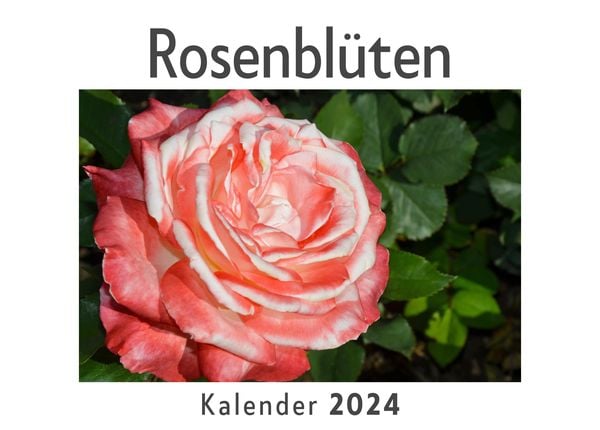 Produktbild: Rosenbl&uuml;ten (Wandkalender 2024, Kalender DIN A4 quer, Monatskalender im Querformat mit Kalendarium, Das perfekte Geschenk)