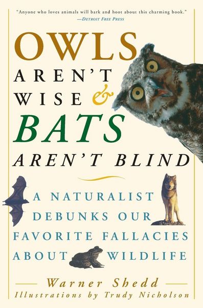 Produktbild: Owls Aren't Wise & Bats Aren't Blind