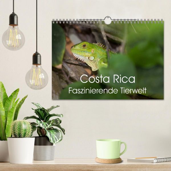 Produktbild: Costa Rica. Faszinierende Tierwelt (Wandkalender 2026 DIN A4 quer), CALVENDO Monatskalender