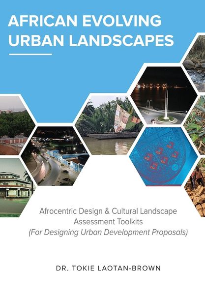 Produktbild: African Evolving Urban Landscapes