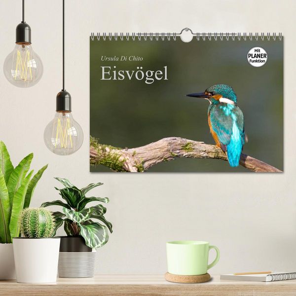 Produktbild: Eisv&ouml;gel (Wandkalender 2026 DIN A4 quer), CALVENDO Monatskalender
