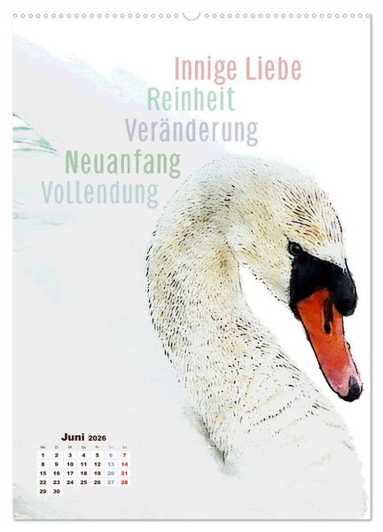Produktbild: Welche spirituelle Bedeutung hat dieser Vogel? (Wandkalender 2026 DIN A2 hoch), CALVENDO Monatskalender