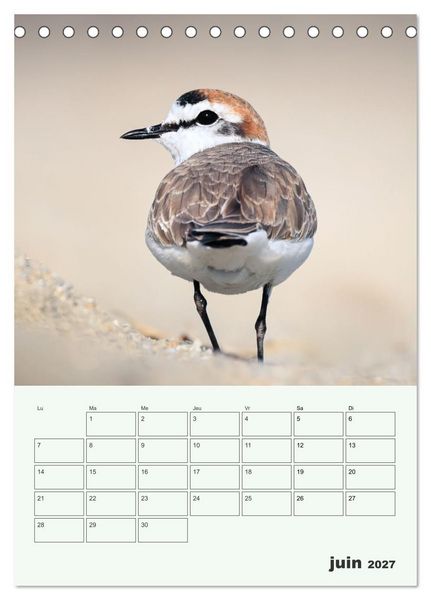 Produktbild: Voyage ornithologique (Calendrier de bureau 2027 DIN A5 horizontal), CALVENDO calendrier mensuel