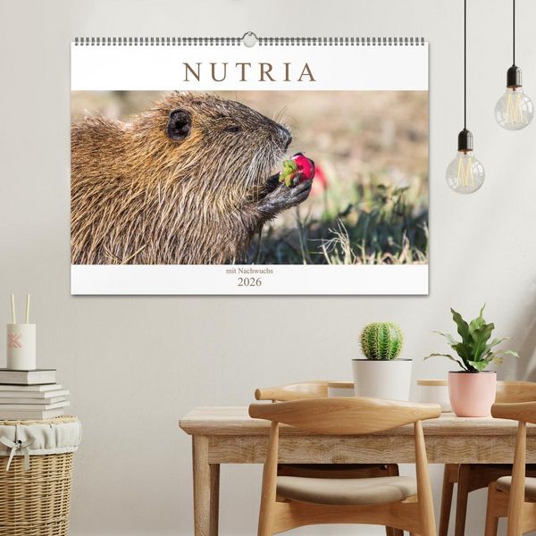 Produktbild: NUTRIA mit Nachwuchs (Wandkalender 2026 DIN A2 quer), CALVENDO Monatskalender
