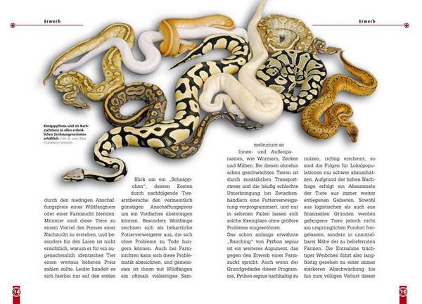 Produktbild: Der K&ouml;nigspython