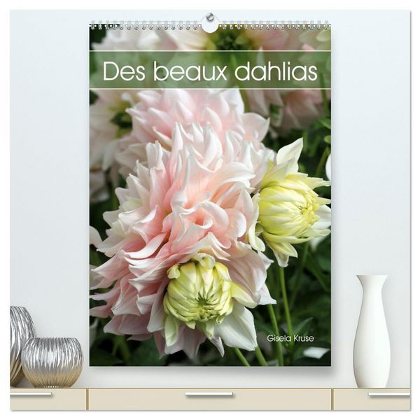 Produktbild: Des beaux dahlias (Calendrier mural 2026 DIN A2 horizontal) calendrier de bureau