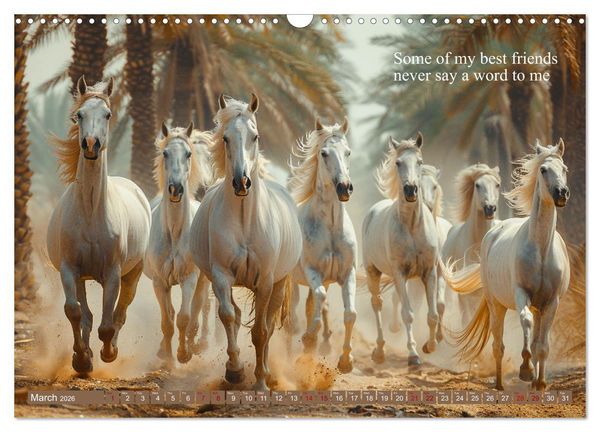 Produktbild: A Horse Makes You Complete (Wall Calendar 2026 DIN A3 landscape), CALVENDO 12 Month Wall Calendar