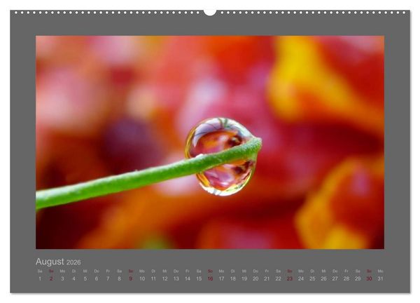 Produktbild: Kleine, gro&szlig;e Tropfenwelt (hochwertiger Premium Wandkalender 2026 DIN A2 quer), Kunstdruck in Hochglanz
