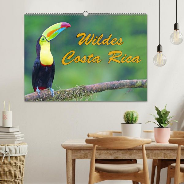 Produktbild: Wildes Costa Rica (Wandkalender 2026 DIN A2 quer), CALVENDO Monatskalender