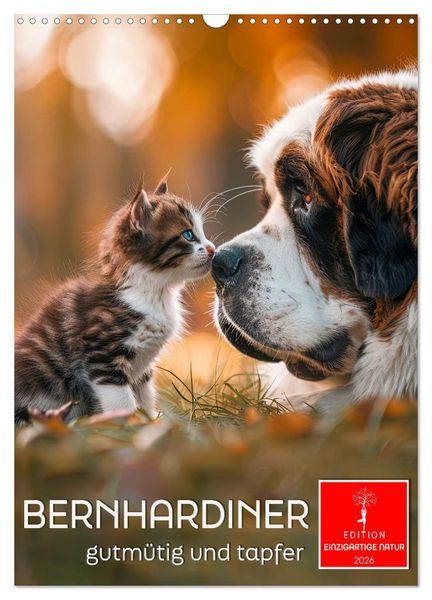 Produktbild: Bernhardiner - gutm&uuml;tig und tapfer (Wandkalender 2026 DIN A3 hoch), CALVENDO Monatskalender