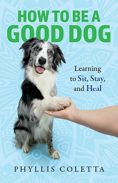 Produktbild: How to be a Good Dog