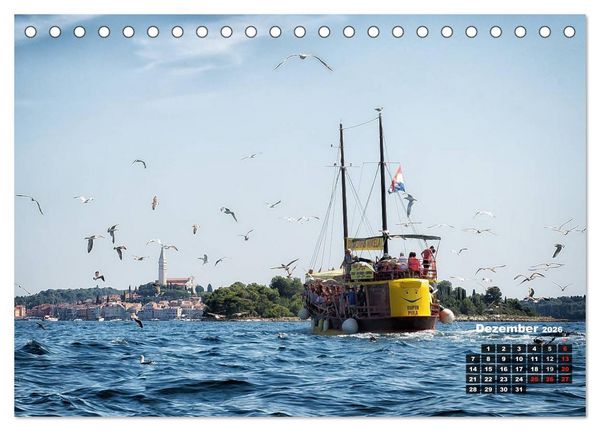 Produktbild: Wie ein Vogel in Rovinj! (Tischkalender 2026 DIN A5 quer), CALVENDO Monatskalender