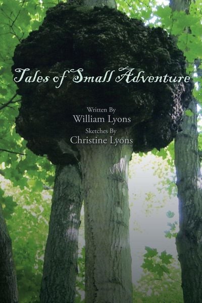 Produktbild: Tales of Small Adventure
