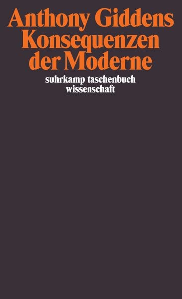 Produktbild: Konsequenzen der Moderne