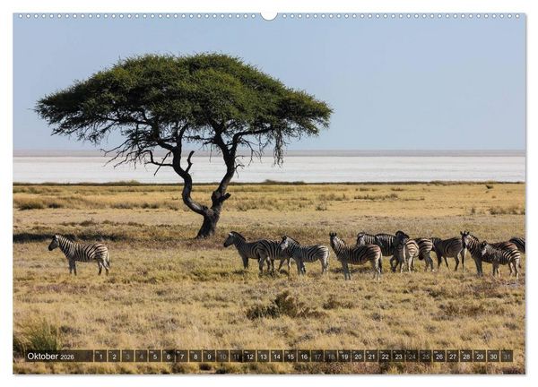 Produktbild: Wildes Namibia (Wandkalender 2026 DIN A2 quer), CALVENDO Monatskalender