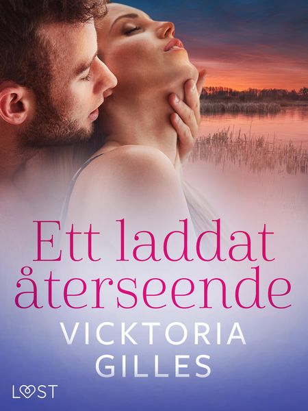 Produktbild: Ett laddat &aring;terseende - erotisk novell