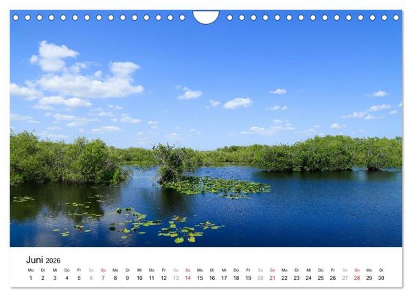 Produktbild: Unter der Sonne Floridas (Wandkalender 2026 DIN A4 quer), CALVENDO Monatskalender