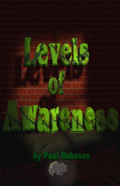 Produktbild: Levels of Awareness