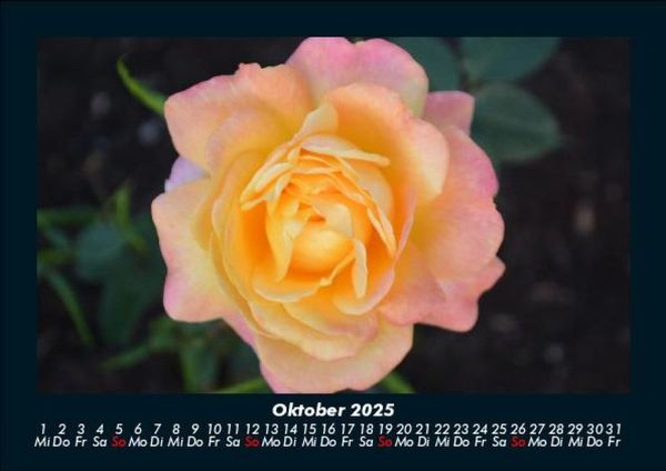 Produktbild: Blumenkalender 2025 Fotokalender DIN A5