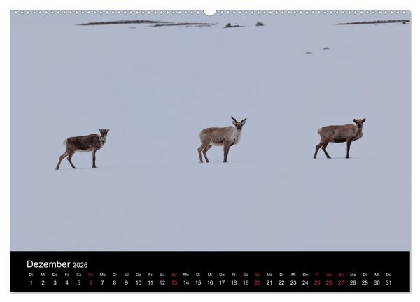 Produktbild: Tierkalender 2026 (hochwertiger Premium Wandkalender 2026 DIN A2 quer), Kunstdruck in Hochglanz