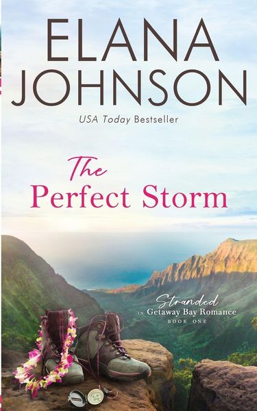 Produktbild: The Perfect Storm