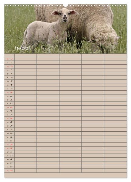 Produktbild: Der bel&auml;mmerte Familienplaner (Wandkalender 2026 DIN A2 hoch), CALVENDO Monatskalender
