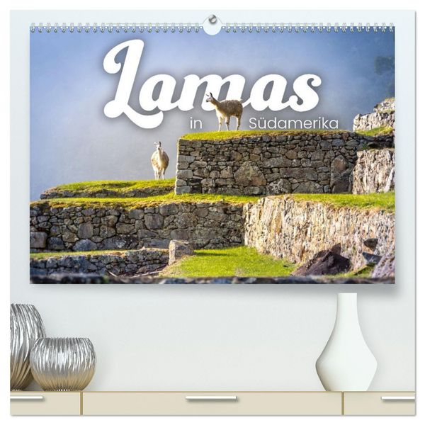 Lamas in Südamerika (hochwertiger Premium Wandkalender 2026 DIN A2 quer), Kunstdruck in Hochglanz