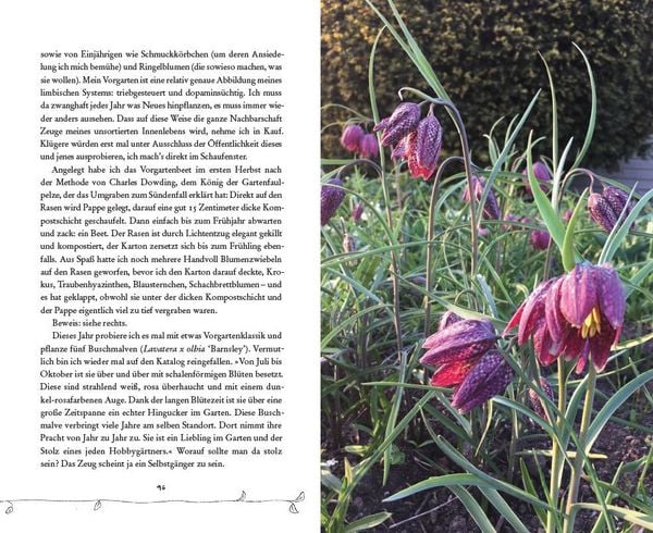 Produktbild: Bin im Garten